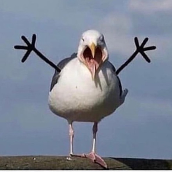 8coco8